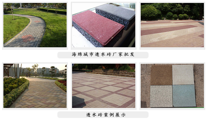 動起來，共建“海綿城市”！